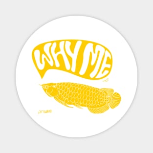 yellow arowana fish with typography why me Magnet